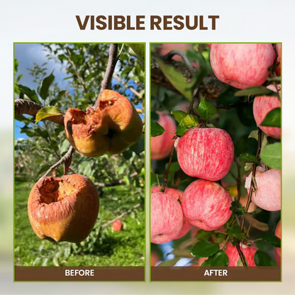 🌱Soil Activated Treasure-You Will Be Amazed!