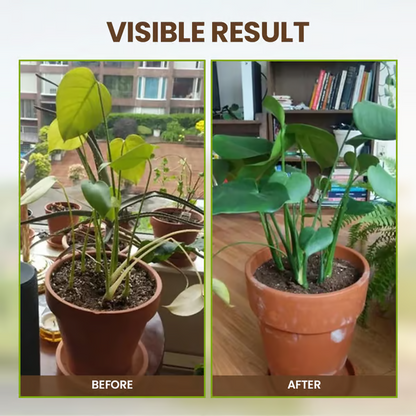 🌱Soil Activated Treasure-You Will Be Amazed!