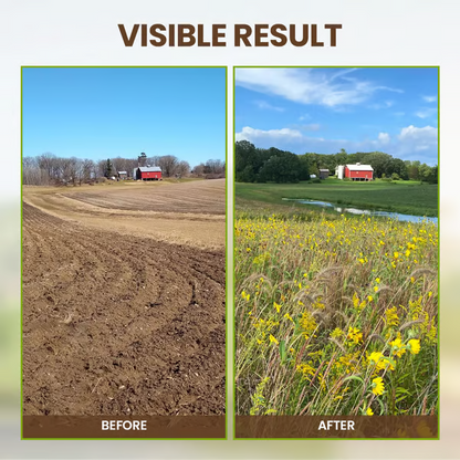 🌱Soil Activated Treasure-You Will Be Amazed!