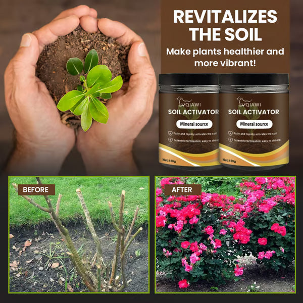 🌱Soil Activated Treasure-You Will Be Amazed!