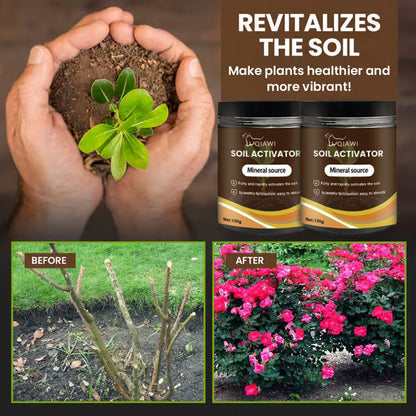 🌱Soil Activated Treasure-You Will Be Amazed!